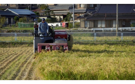 最良の原料を求めて、山田錦の名産地西脇市に蔵人が移り住み、自らお米を育てています。