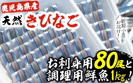 Akune 2 3 鹿児島県阿久根産 天然きびなごのお刺身と鮮魚セット 刺身80尾 40尾 2パック きびなご鮮魚1kg 濱崎魚類 2 3 鹿児島県阿久根市 ふるさと納税 ふるさとチョイス