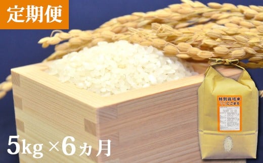 AD106【定期便】特別栽培米ながさきにこまる　　5kg×6ヵ月