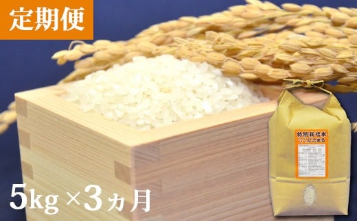 AD105【定期便】特別栽培米ながさきにこまる　　5kg×3ヵ月