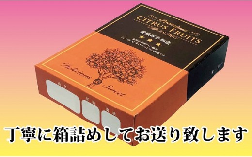 C39 27 話題の愛媛オリジナル品種 上杉農園 甘平 ３ 愛媛県八幡浜市 ふるさと納税 ふるさとチョイス