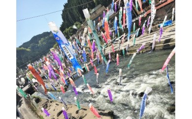 【令和7年度受付】名入れ鯉のぼり掲揚権（杖立温泉鯉のぼり祭） 797985 - 熊本県小国町