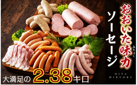 大満足2 38kg おおいた味力ソーセージセット 大分県国東市 ふるさと納税 ふるさとチョイス