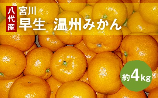 八代産 宮川みかん 早生 温州みかん 約4kg 熊本県八代市 ふるさと納税 ふるさとチョイス