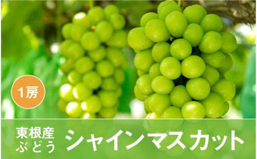 ぶどう シャインマスカット 1房 700g以上 Ja提供 22年9月中旬 10月上旬送付 P 1932 山形県東根市 ふるさと納税 ふるさとチョイス