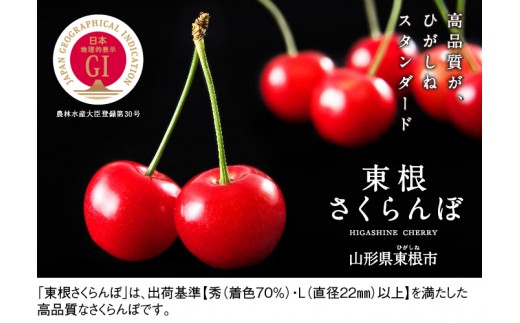 Gi 東根さくらんぼ 佐藤錦500g化粧箱詰め Ja産直提供 22年6月中旬 下旬送付 P 1917 山形県東根市 ふるさと納税 ふるさとチョイス