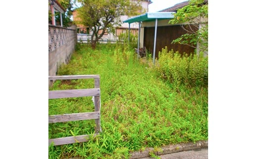 空き家のお庭除草・清掃サービス 462348 - 香川県高松市