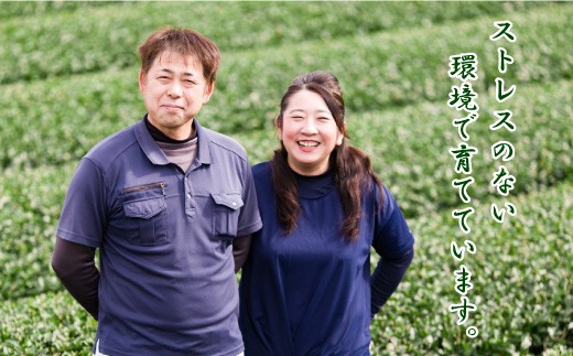 熊本県品評会受賞園 「さがら茶」 ギフト （B) 100g×2セット  (02-02)