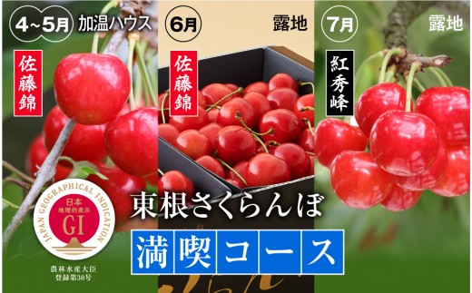おすすめ さくらんぼ 果物類のふるさと納税を探す ふるさとチョイス