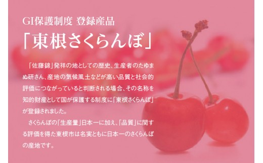 Gi 東根さくらんぼ さくらんぼ満喫コースpart2 21年5月下旬 6月上旬 ハウス栽培さくらんぼからスタート 定期便 E 1508 山形県東根市 ふるさと納税 ふるさとチョイス