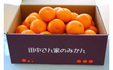 こだわり手詰め　有田みかんSサイズ（4.7kg）