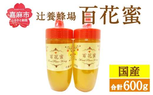 辻養蜂場 百花蜜 300g×2