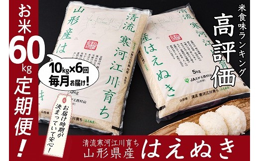 令和3年産 計60kg 新米定期便 半年コース 清流寒河江川育ち 山形産はえぬき 10kg 6回 21年10月中旬 22年3月中旬 先行予約 21年産 060 C02 山形県寒河江市 ふるさと納税 ふるさとチョイス