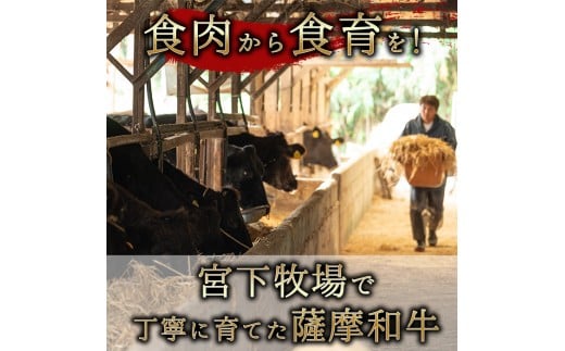 No 418 数量限定 薩摩和牛 肩ロースすきしゃぶ用 600g さつま屋産業 鹿児島県日置市 ふるさと納税 ふるさとチョイス