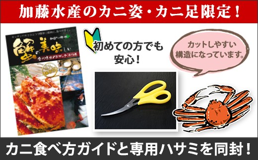 1213 ボイルズワイガニ足 2kg 約4 6人前 食べ方ガイド 専用ハサミ付 カニ かに 蟹 北海道弟子屈町 ふるさと納税 ふるさとチョイス