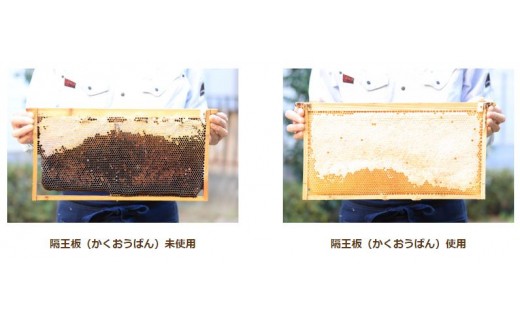 隔王板を使った採蜜方法が巣鴨養蜂園のこだわり