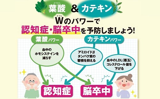 079 01 Dhcと共同開発 知覧茶パワー6か月分 鹿児島県南九州市 ふるさと納税 ふるさとチョイス