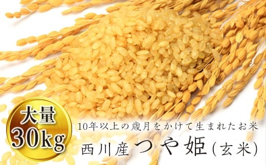 FYN9-102「つや姫」玄米 30kg（5kg×6） 山形県 西川町産 ツヤ 甘み 旨み 316236 - 山形県西川町