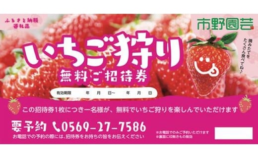 市野園芸 いちご狩り招待券 4名様 愛知県半田市 ふるさと納税 ふるさとチョイス