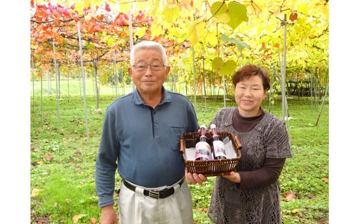 尾花沢産完熟山ぶどう原液果汁 山ぶんど 500ml ２本 011g 山形県尾花沢市 ふるさと納税 ふるさとチョイス