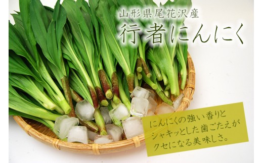 尾花沢産とれたて新鮮行者にんにく 約500g d 山形県尾花沢市 ふるさと納税 ふるさとチョイス