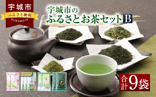 宇城市のふるさとお茶 セット B 日本茶 茶葉 緑茶  315998 - 熊本県宇城市