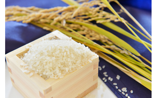 今年の秋穫れ。きれいなお米の粒です。