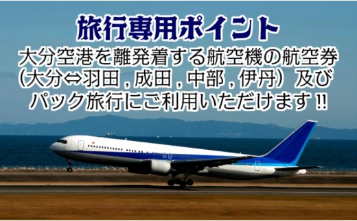 大分空港利用限定 新トラベルポイント p 大分県国東市 ふるさと納税 ふるさとチョイス