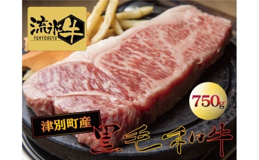 流氷牛ステーキ肉　750g　（250g×3　サーロイン）/035-31129-a01F 683210 - 北海道津別町