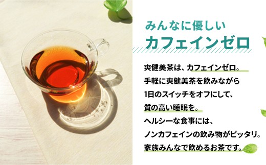 爽健美茶600ml 1ケース　2か月定期便