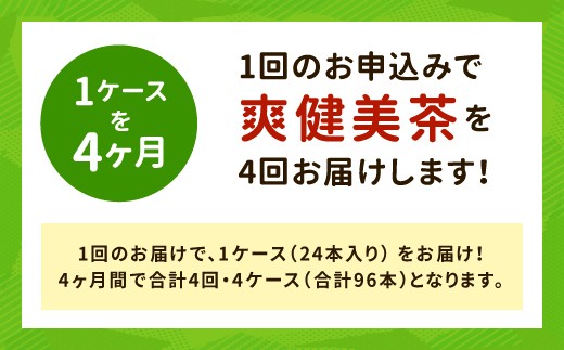 33-06 爽健美茶600ml 1ケース　４か月定期便