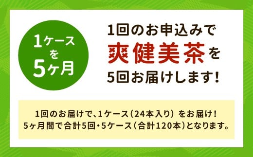 41-02 爽健美茶600ml 1ケース　５か月定期便|コカ・コーラ ボトラーズジャパン株式会社