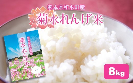 熊本和水町産 ひのひかり（菊水れんげ米）8kg | 熊本県 熊本 くまもと 和水町 なごみ ヒノヒカリ 単一原料米 れんげ米 8kg 白米 米