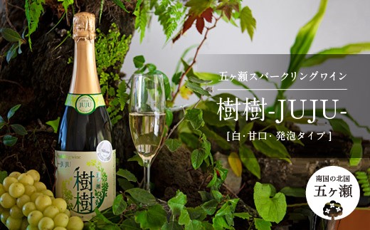 五ヶ瀬ワイン 飲み比べセット（白・甘口＆白・辛口） - 宮崎県五ヶ瀬町