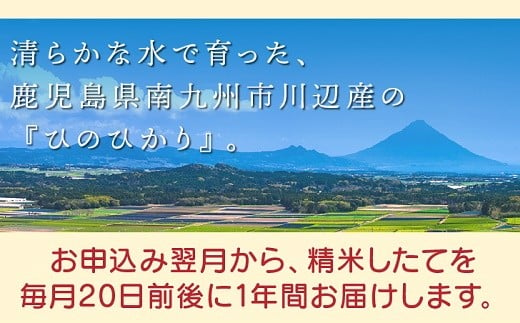 【全12回】鹿児島県産米ひのひかり10kg定期便 013-07