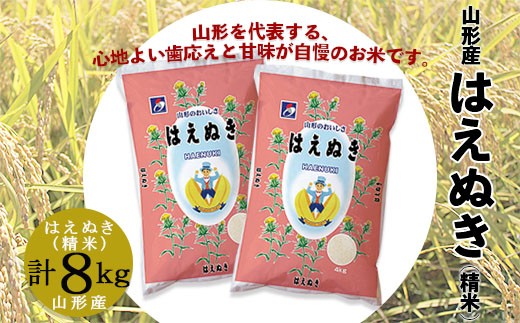 山形産はえぬき(精米)10kg(5kg×2) FZ21-078 ブランド米 山形県 山形市