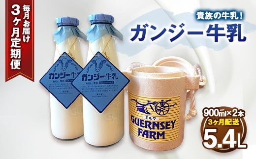 【定期便】ガンジー牛乳 100% 900ml 2本セット 3ヶ月 冷蔵 304953 - 大分県竹田市