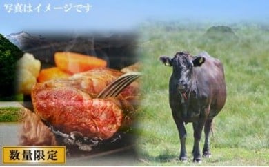 15-031 浜益牛(黒毛和牛)ステーキ用【もも・ランプ】