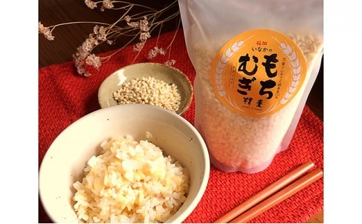 【稲美町産】お米5kg、もち麦のセット 1265087 - 兵庫県稲美町