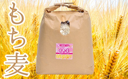 S-2 食物繊維たっぷりの「もち麦」横芝光町産4kg