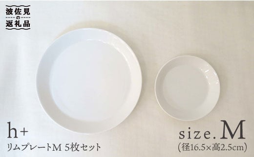 【波佐見焼】リム プレート M 5枚セット 食器 皿 【堀江陶器】 [JD25] 236283 - 長崎県波佐見町