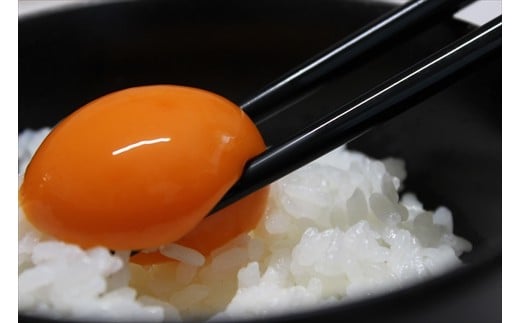 「村上さん家のせせらぎ卵」45個＋5個破卵補償　(計50個） 651952 - 兵庫県丹波市