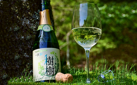 五ヶ瀬スパークリングワイン 樹樹 -JUJU-（白・甘口・発泡タイプ）（GW