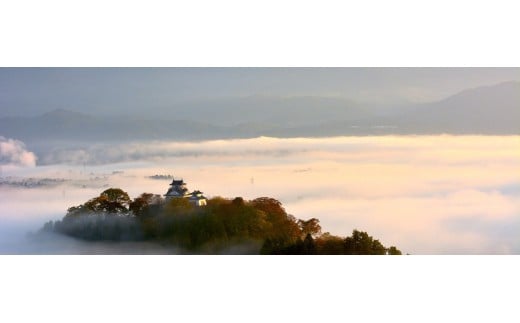 2名より催行 天空の城眺望と朝のごっつお 朝食付き 福井県 ふるさと納税 ふるさとチョイス