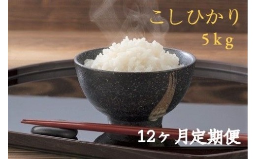 0585 小山ファームのお米 こしひかり 5kg 12ヶ月定期便 令和元年産 減農薬栽培 長野県飯綱町 三水地区 長野県飯綱町 ふるさと納税 ふるさとチョイス