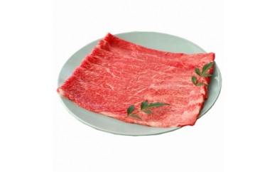 土佐和牛A5特選ヒレステーキ100ｇ×2枚セット 牛肉＜高知市共通返礼品