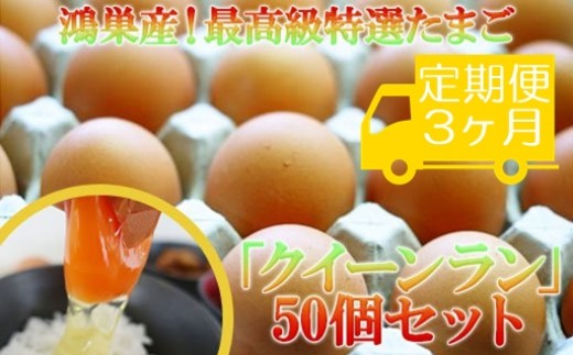 松村養鶏場◆最高級特選たまご「クイーンラン」50個セット【定期便3ヶ月】