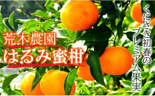 【令和7年2月から発送】荒木農園のはるみ約4kg/弾ける果肉に感動のプレミアム蜜柑_1395R