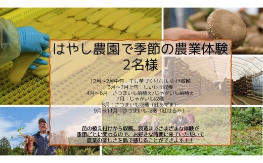 はやし農園で季節の農業体験（2名様分） 252897 - 茨城県鉾田市