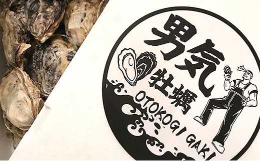 新鮮 男気 牡蠣 2kg 香港の料亭などにも提供 マガキ かき 加熱用 熊本県八代市 ふるさと納税 ふるさとチョイス